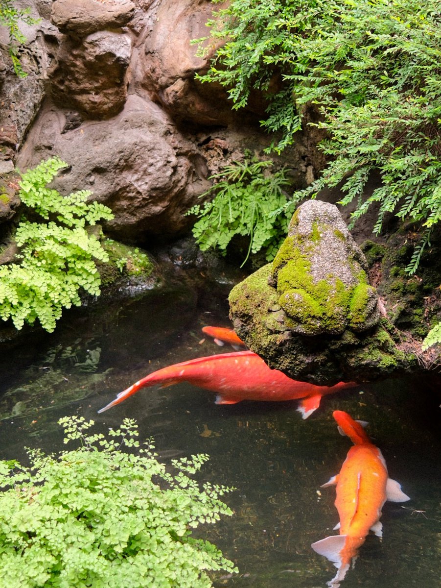 asha🍏^ hi! tweet media