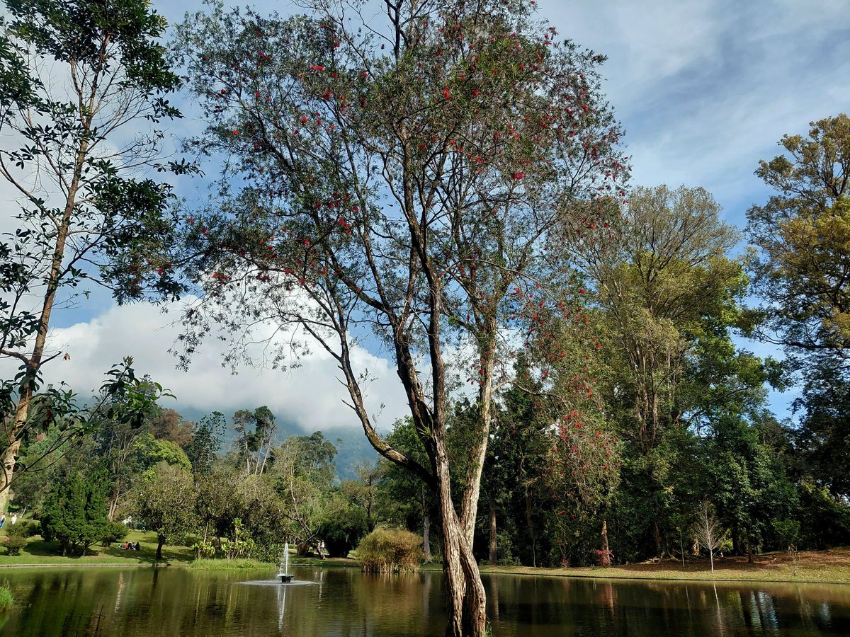 asha🍏^ hi! tweet media