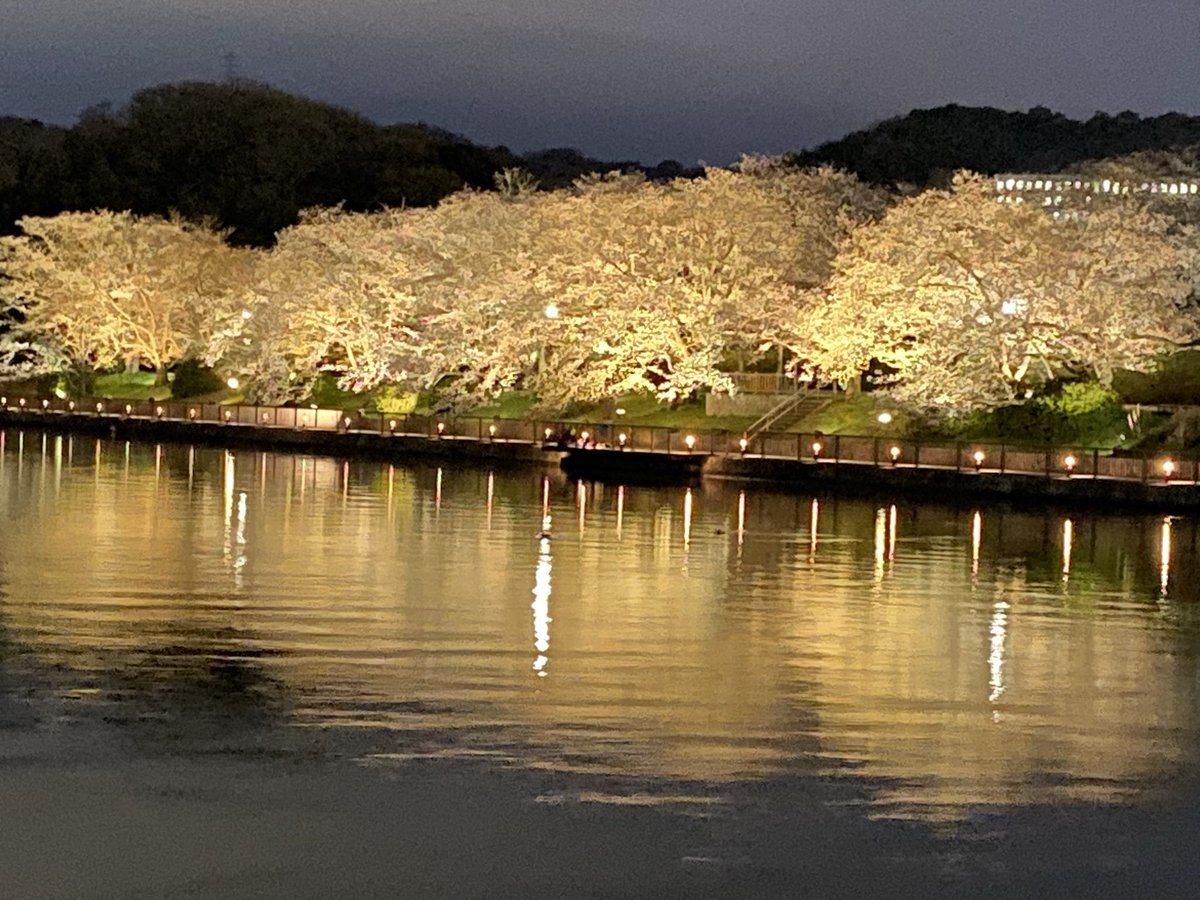 さあちゃん😉CBR400Rに乗ってる初心者ライダー🔰ヤエー大好きライダー😉 tweet media