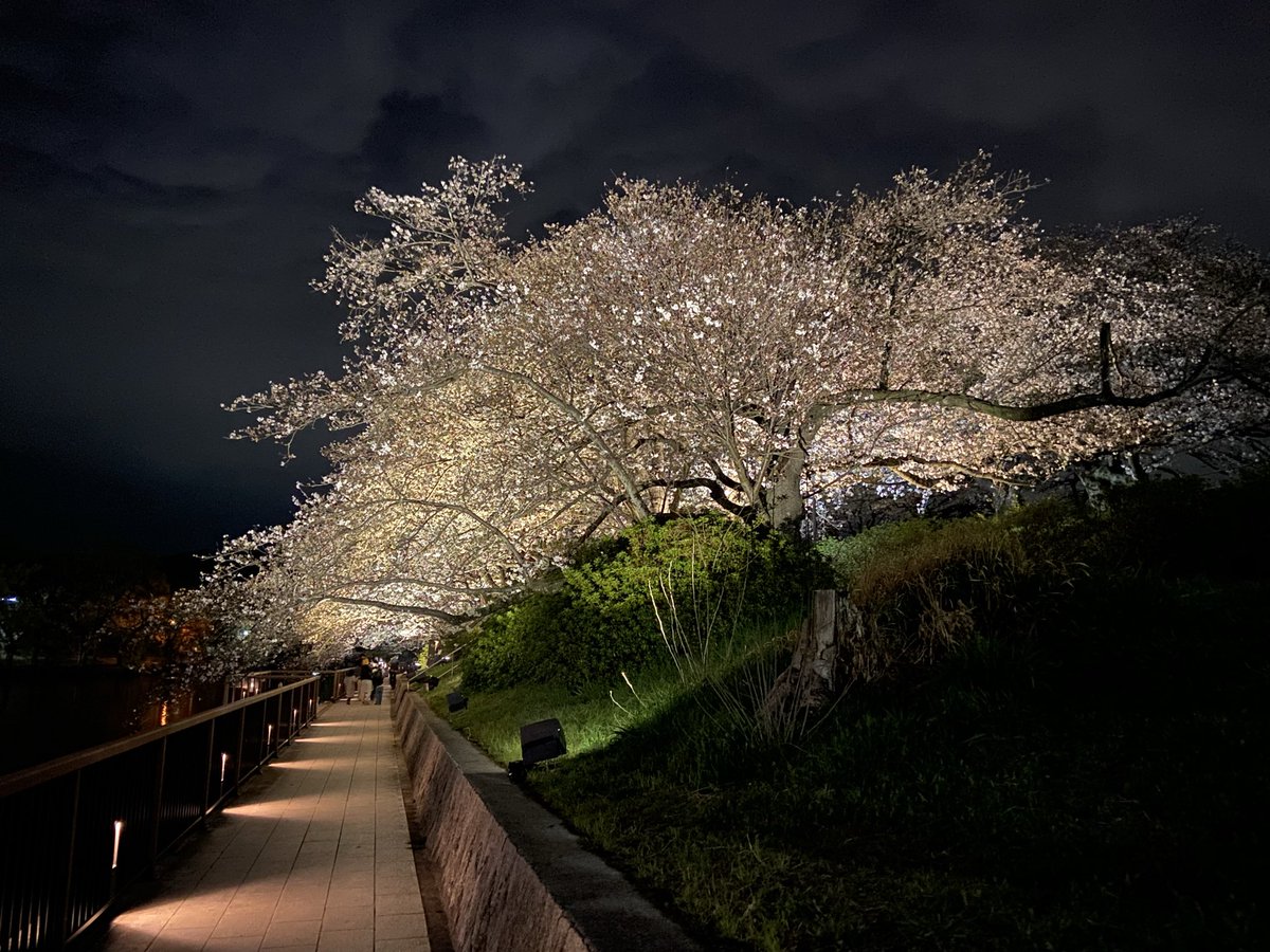 さあちゃん😉CBR400Rに乗ってる初心者ライダー🔰ヤエー大好きライダー😉 tweet media
