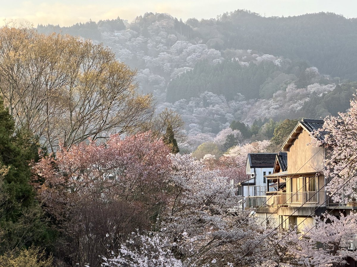 ヨシノマホ🦌奈良クリエイター tweet media