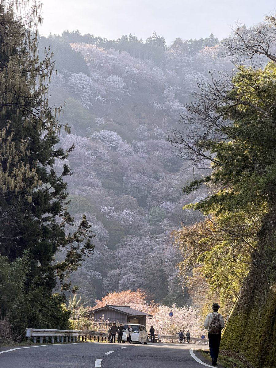 ヨシノマホ🦌奈良クリエイター tweet media