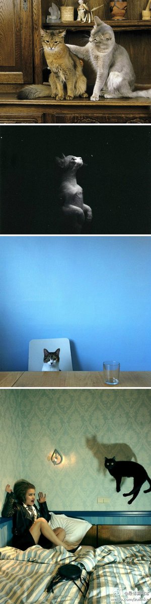 Anandi Mani tweet media