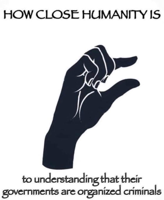 Birger Høst tweet media