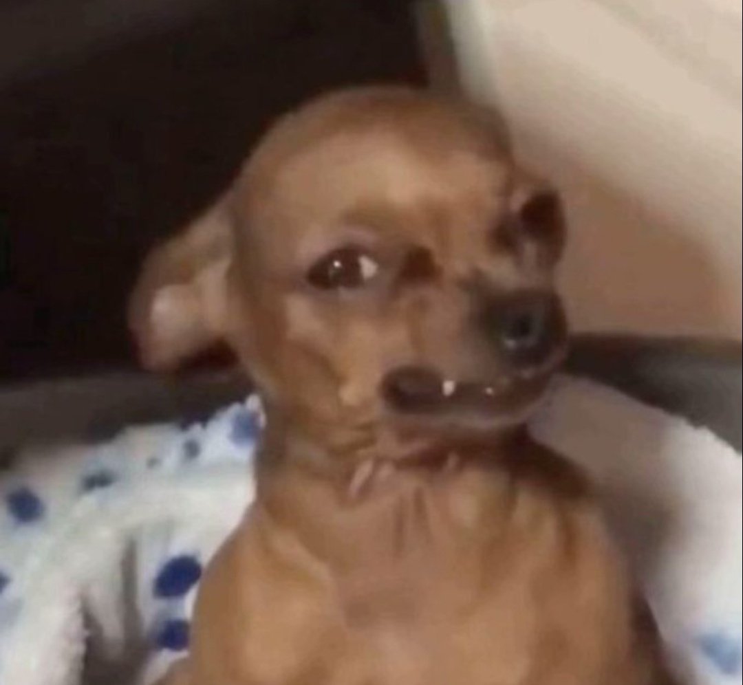 Big duff🐐 tweet media