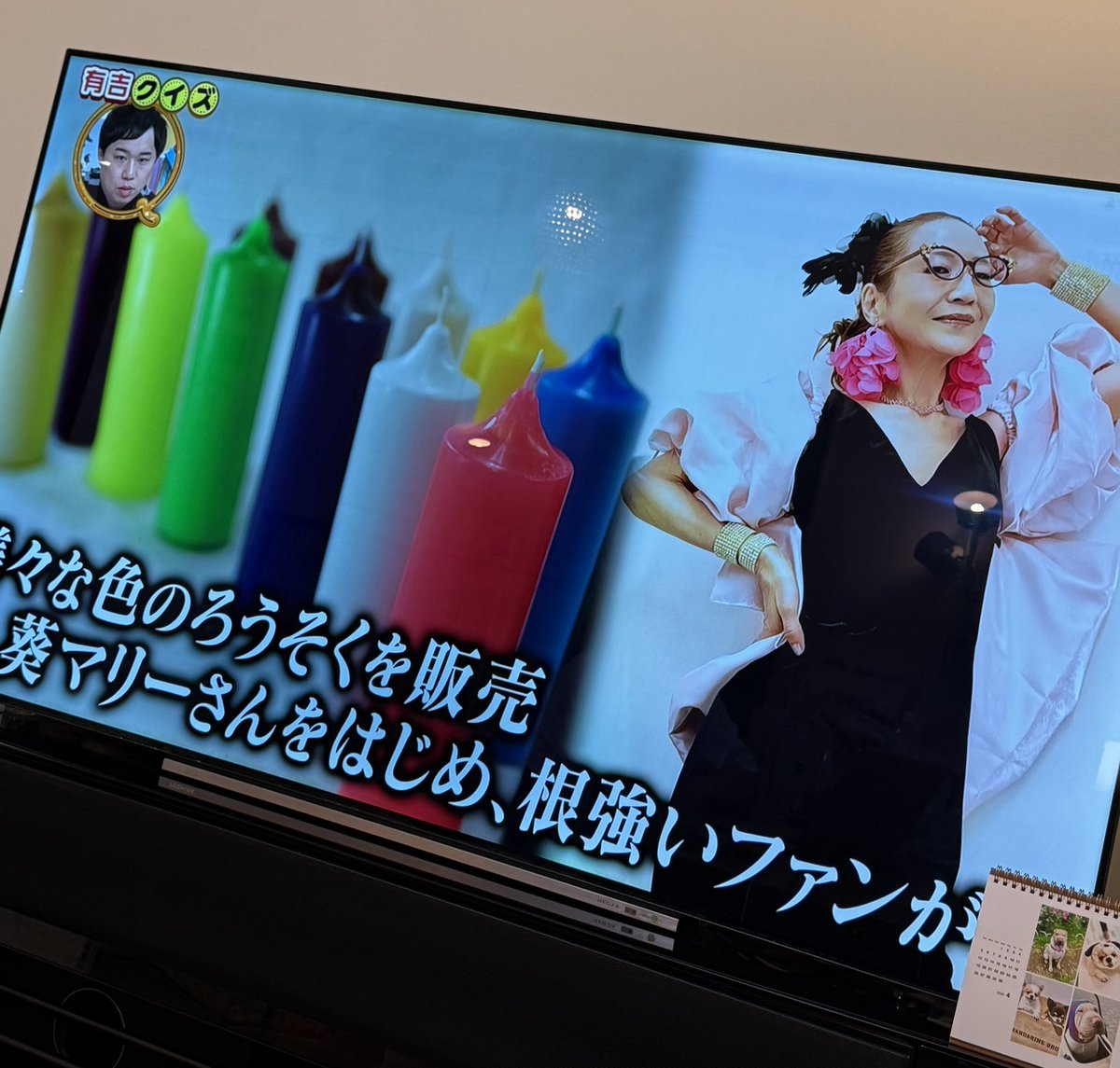 あおいまりい tweet media