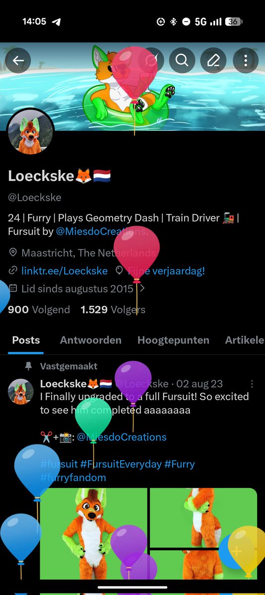 Loeckske🦊🇳🇱 tweet media