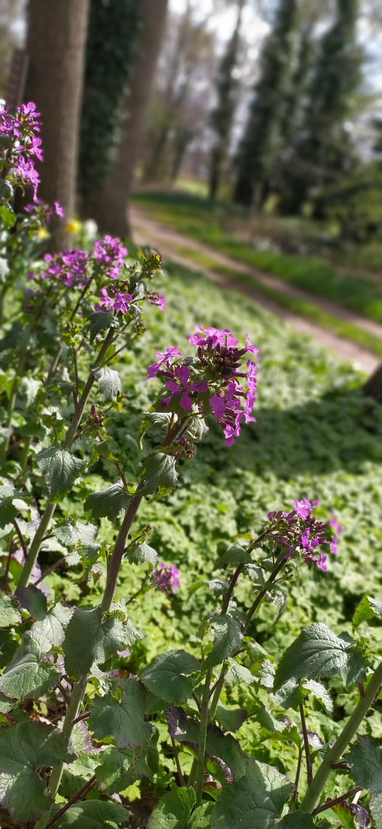 Pim & Ellen tweet media