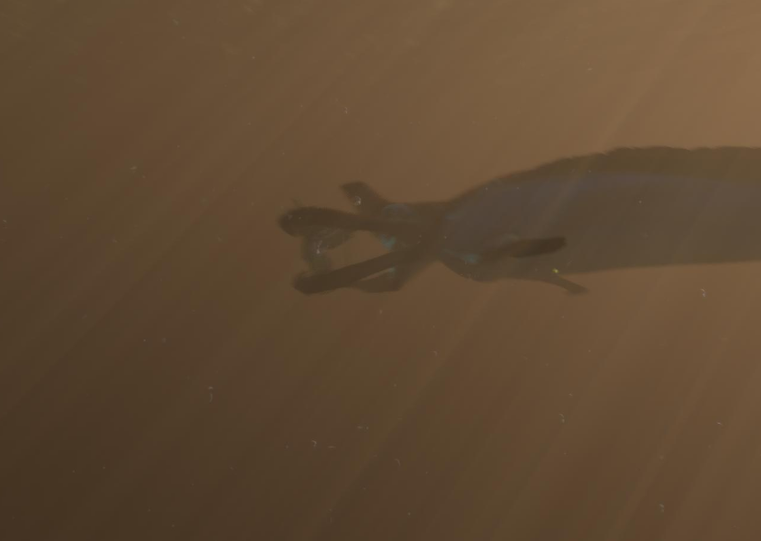 CruTamVT's tweet photo. Played Subnautica over the weekend bc some friends wanted to play during the free weekend https://t.co/OAVLFtcP2J
