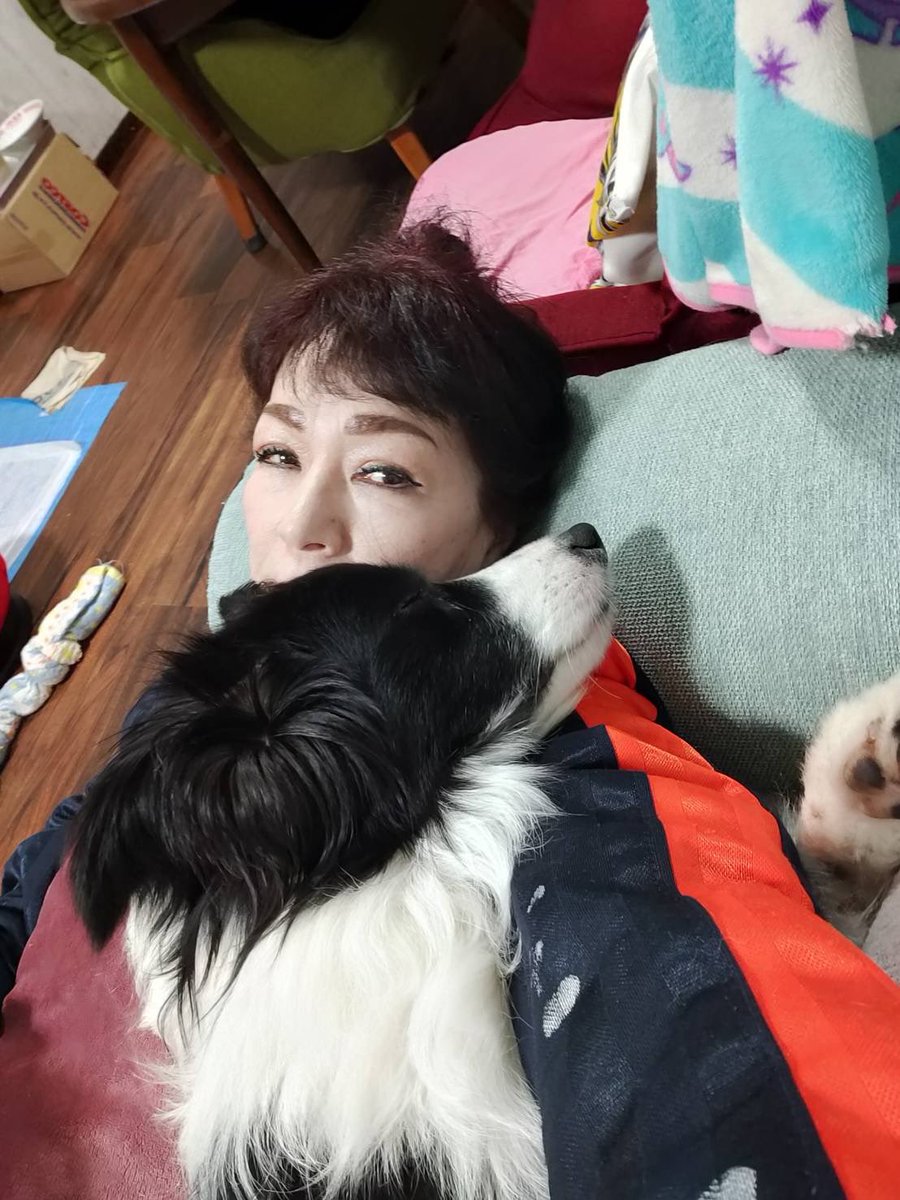 用心BΩY tweet media