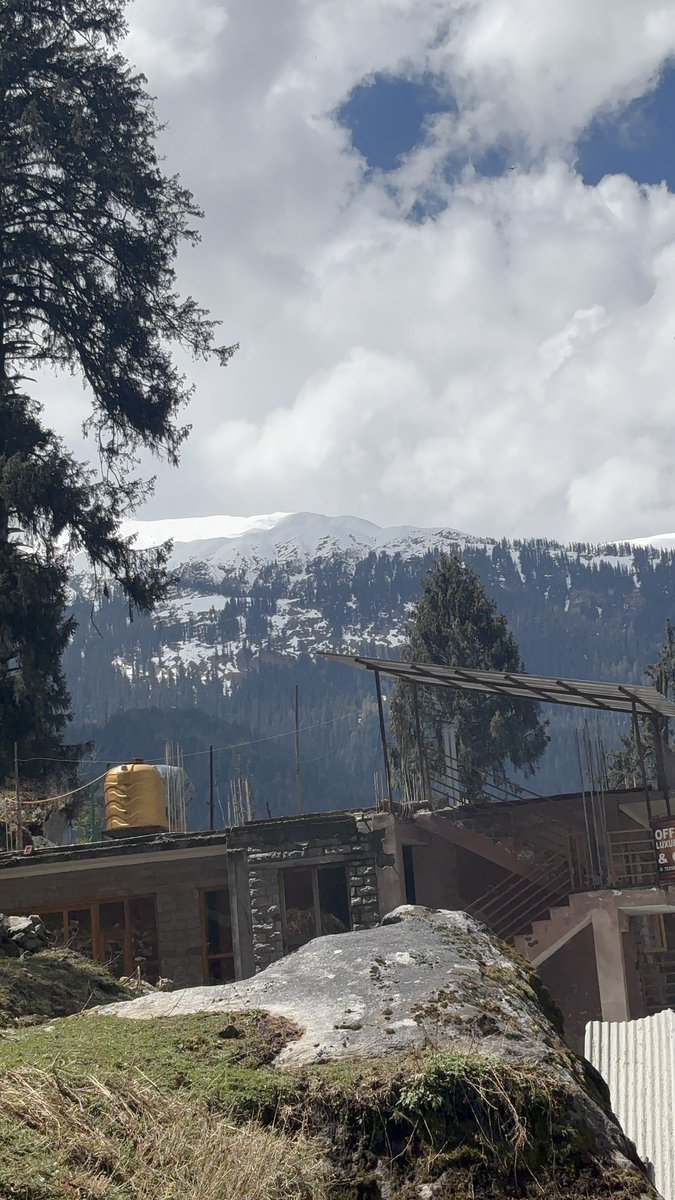 Ritul Singh tweet media