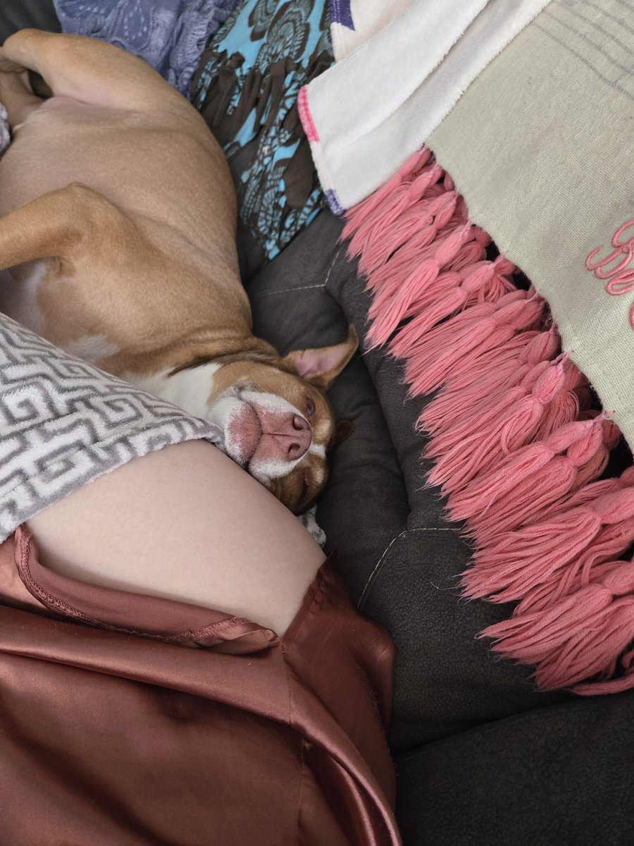 NatalieRoseGraham *GEMINI* #Worcester tweet media