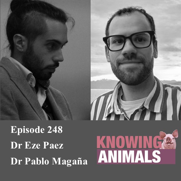 Knowing Animals tweet media