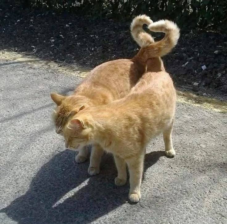 𝐒𝐞𝐫𝐞𝐧𝐚 ‎ꫂ᭪݁ tweet media