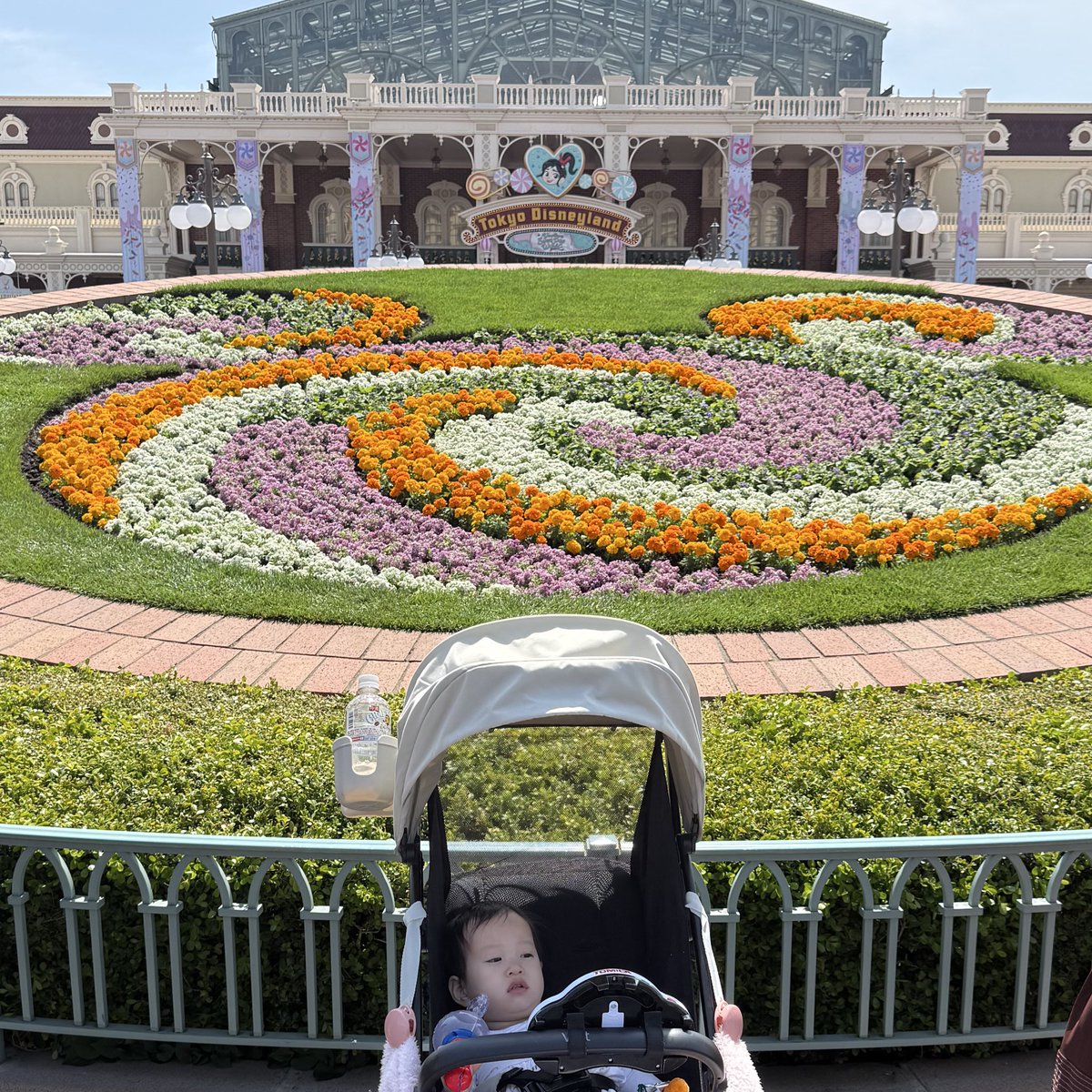 𝓰𝓪𝓲𝓳𝓲𝓷 tweet media