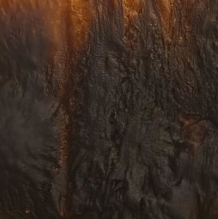 ちる치루 tweet media