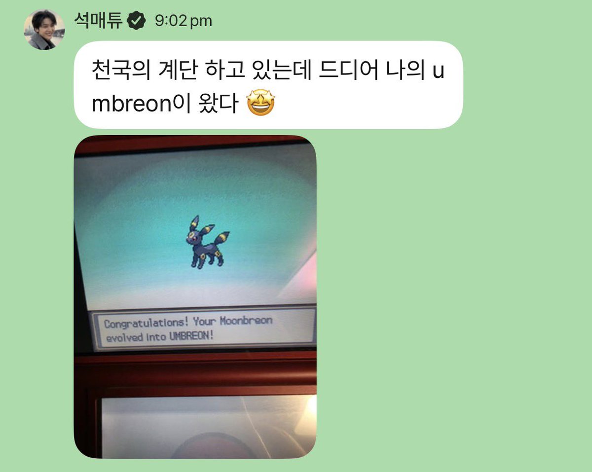 ollie!🐞🍀 tweet media