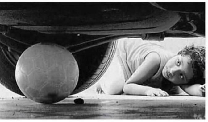 Lobister fan only 🪭 tweet media