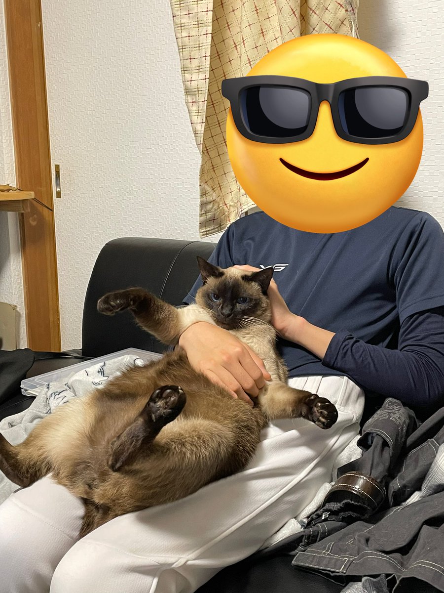 まるえ (marue) tweet media