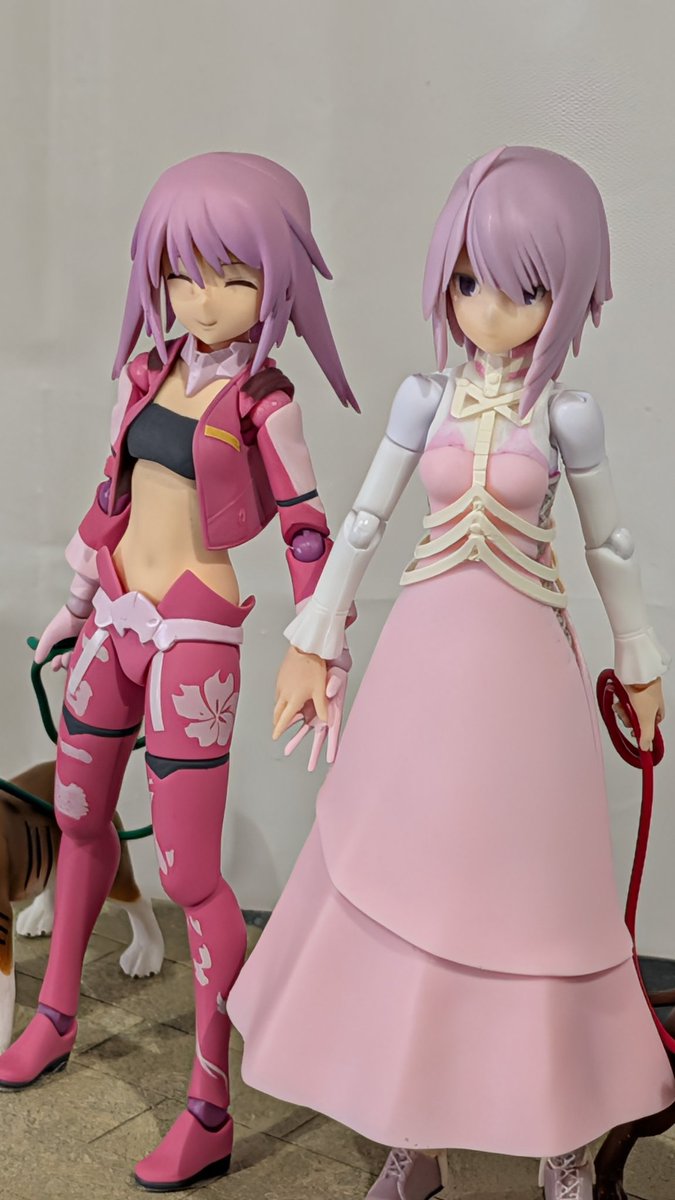 きなりさんと 次はとなモ9 tweet media