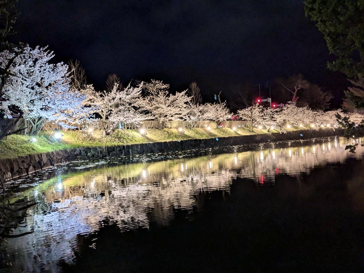 あっちゃん@気まぐれ🦧🍺 tweet media