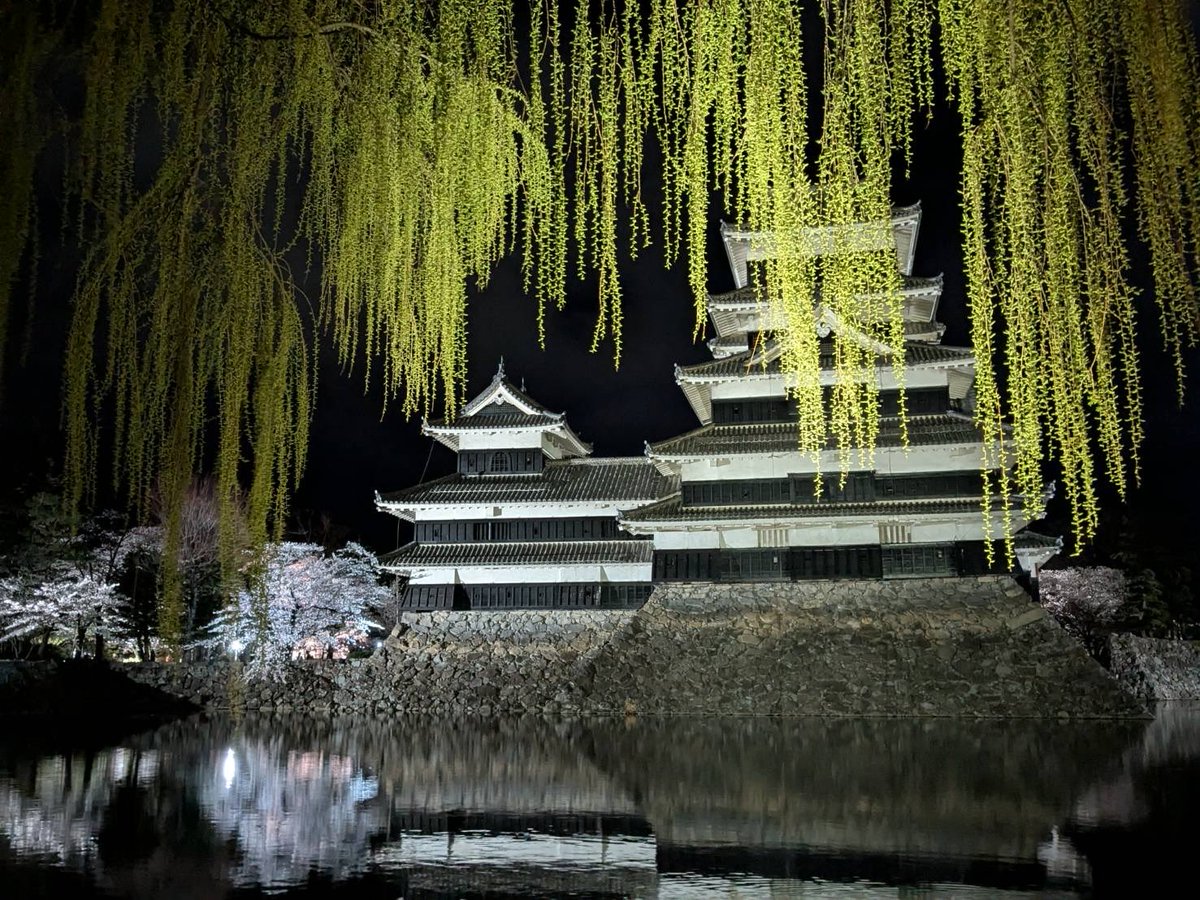 あっちゃん@気まぐれ🦧🍺 tweet media