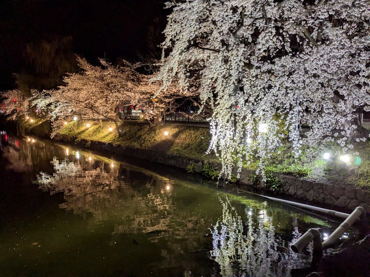 あっちゃん@気まぐれ🦧🍺 tweet media