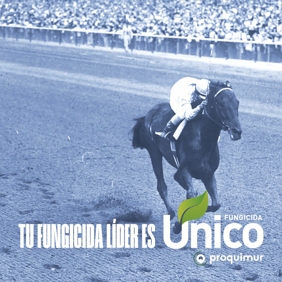 Proquimur tweet media