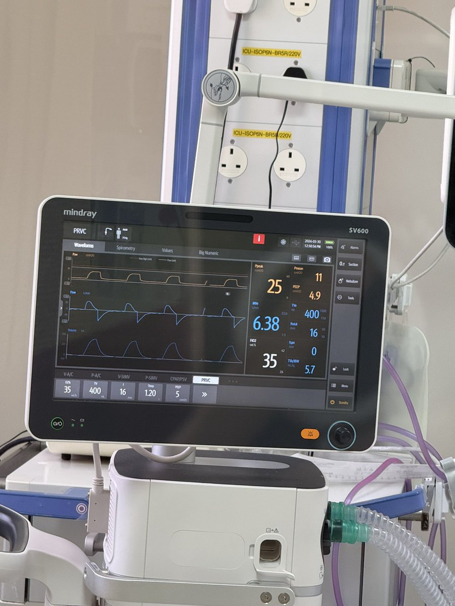 turky.z17 tweet media