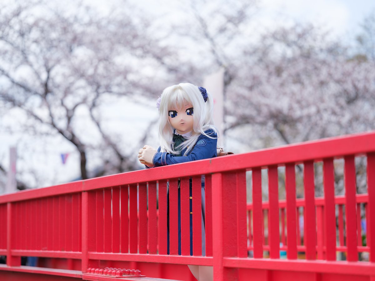 桜は散っていく儚さも美しいわね。日本人の死生観を表していると思うわ。

photo: <a href="/catyray8113/">雫</a>