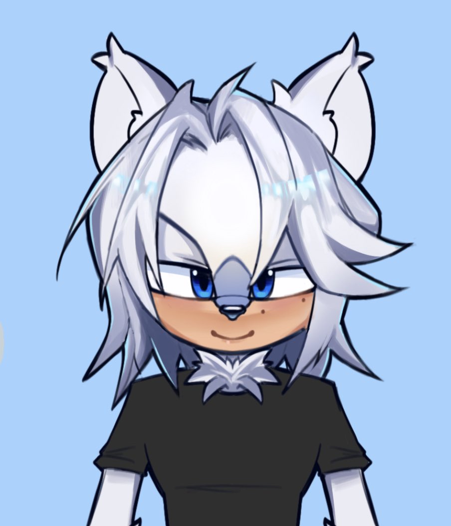 not shads tweet media