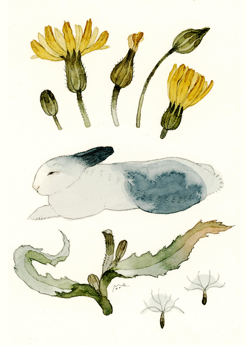 こまちみゆた tweet media