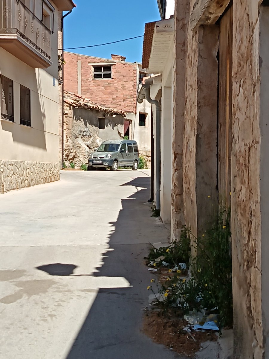 alhys  aguilera tweet media