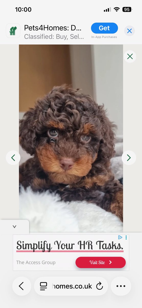 Peter Carney tweet media