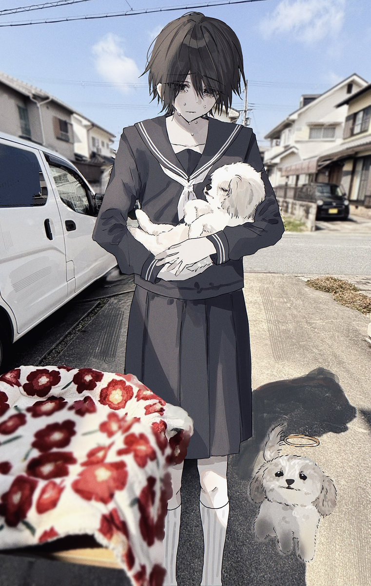 小太郎 tweet media