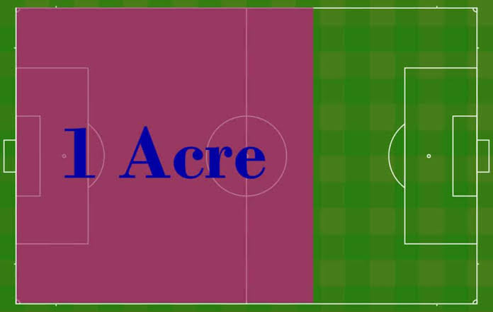 NeverFold. tweet media