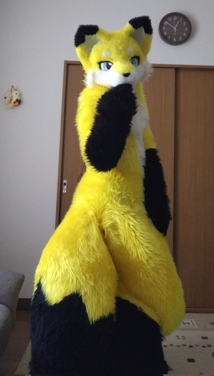 凌牙🐾 tweet media