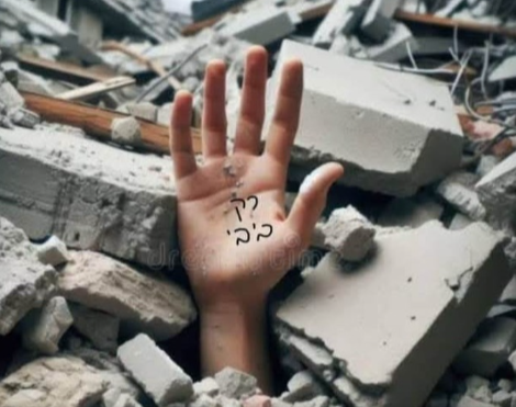 Orly Kotzero tweet media