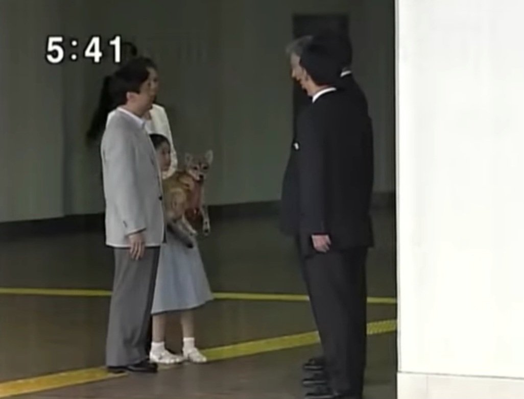 せんか tweet media