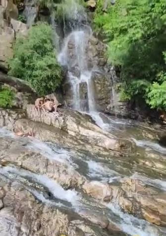 ༒ 𝙍𝙖𝙜𝙣𝙖𝙧 𝙇𝙤𝙩𝙝𝙗𝙧𝙤𝙠 tweet media