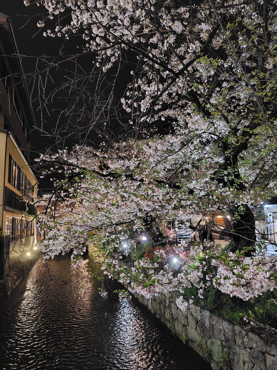 猫柳うなぁ🐈🌿🧡 tweet media