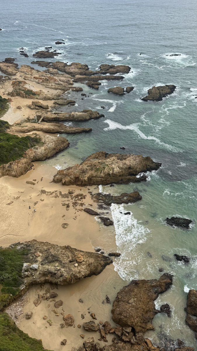 محمد الشهري tweet media