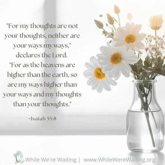 While We're Waiting (@whilewerwaiting) on Twitter photo 