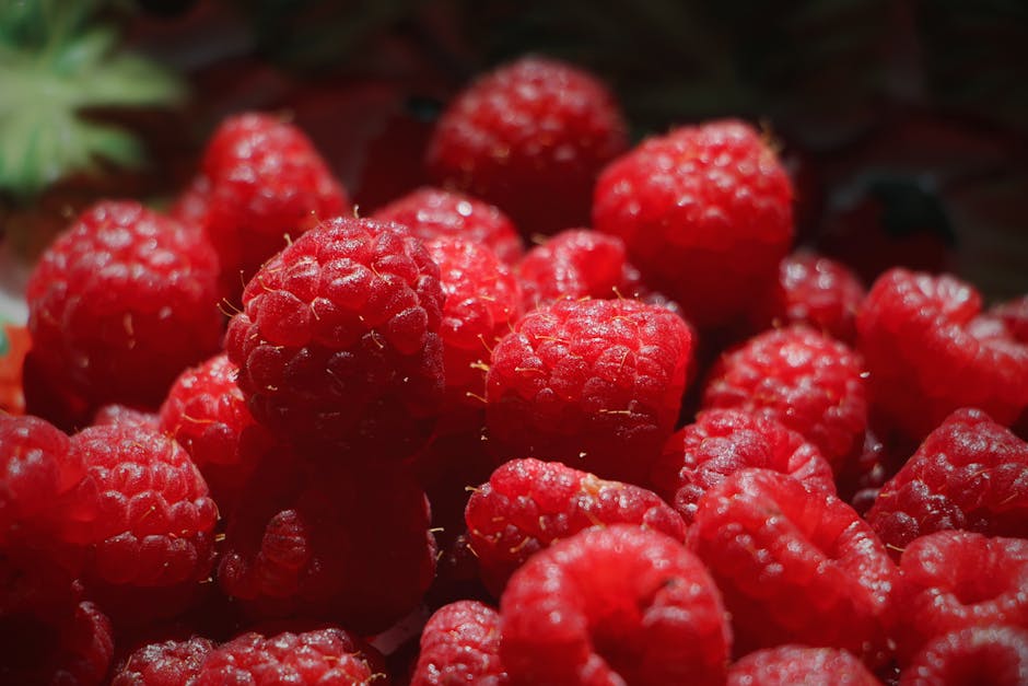 Lieselotte Soley tweet media