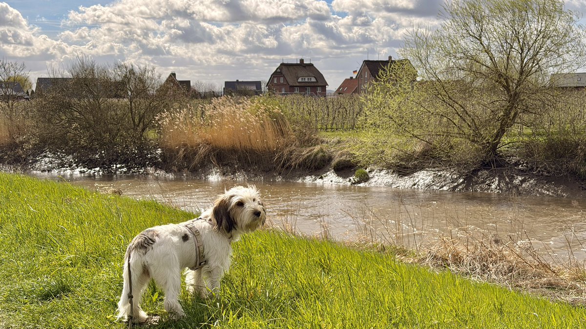 Frank (FOP) tweet media