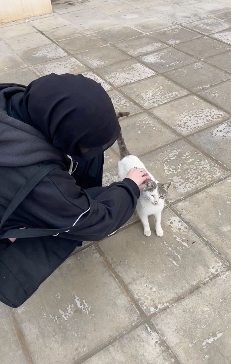 รับงานสายบุรี สายบุรี tweet media