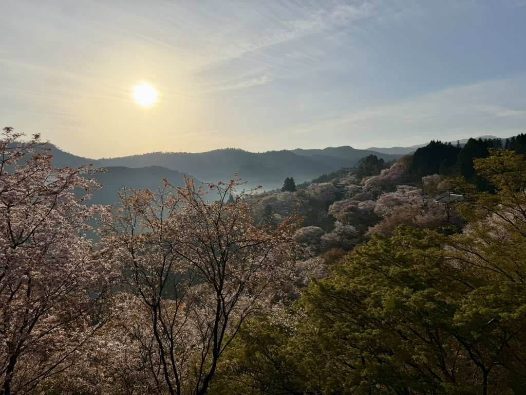 ヨシノマホ🦌奈良クリエイター tweet media