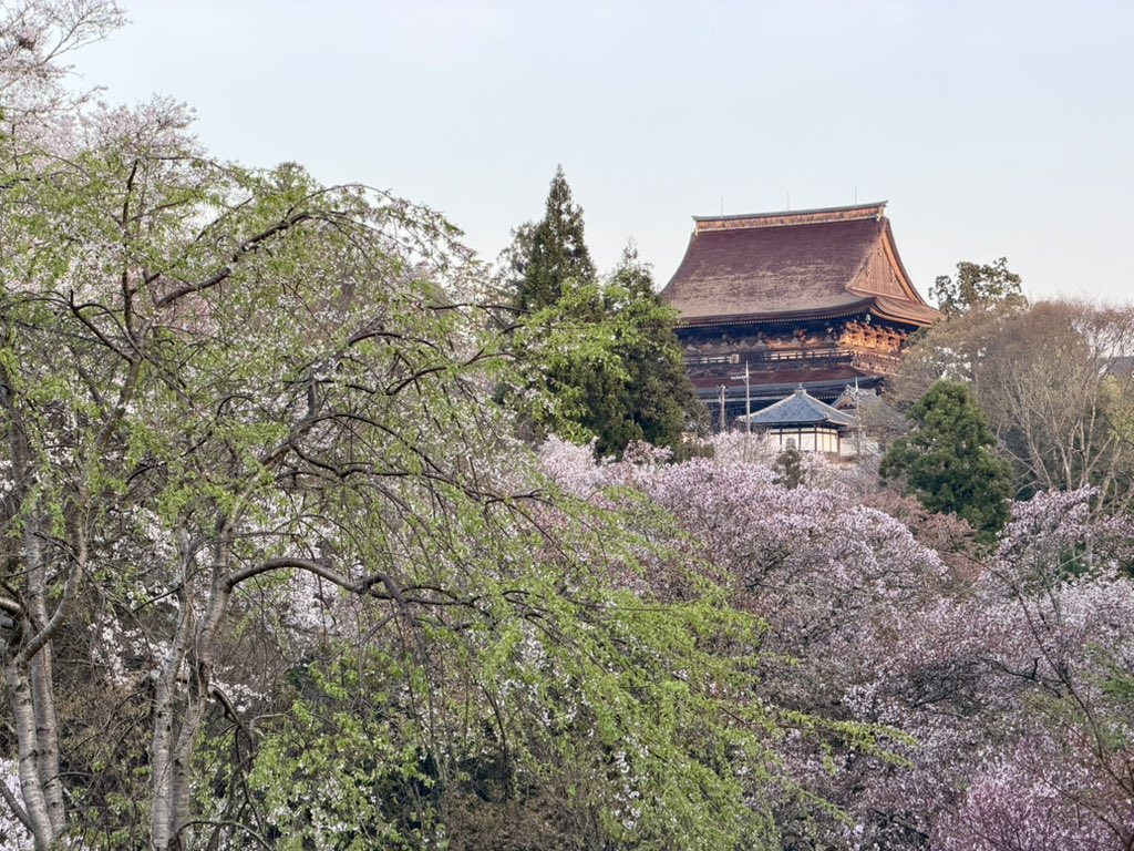 ヨシノマホ🦌奈良クリエイター tweet media