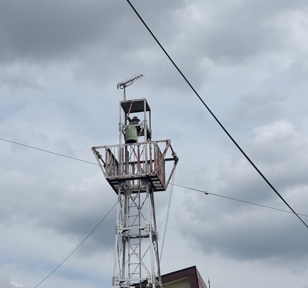 てんつく工芸 tweet media