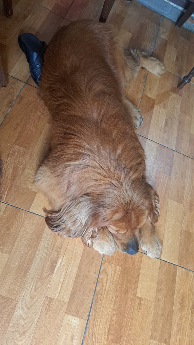 ִ ࣪𖤐 tweet media